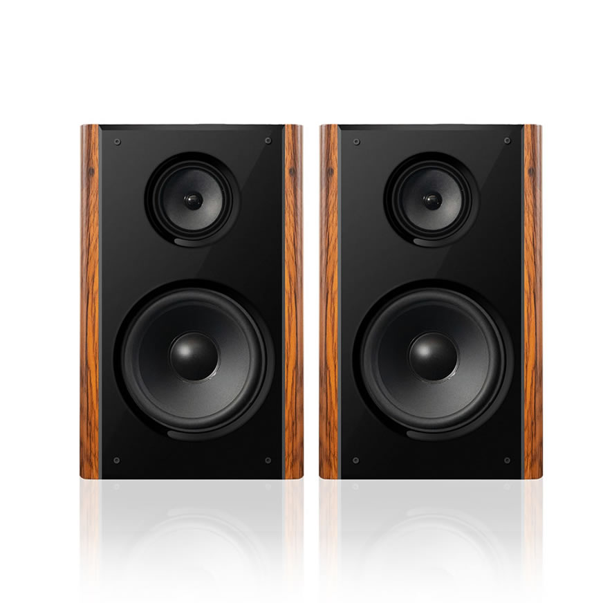 Altavoz Profesional de Karaoke Doméstico 300W Alta Potencia | iHomeLife-HLQ Audio HiFi para KTV Casa, Cine en Casa y Pequeñas Actuaciones